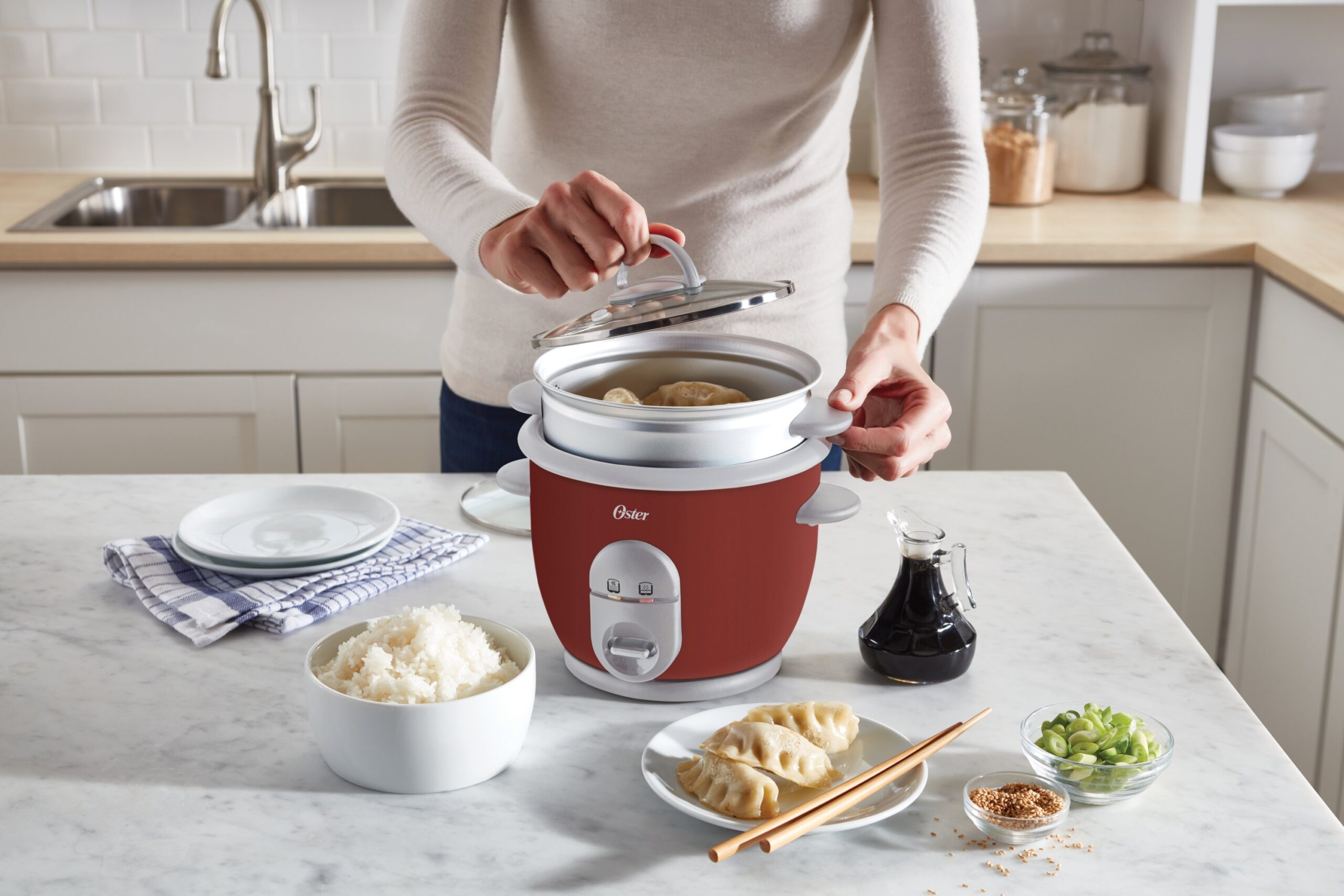 Oster Rice Cooker-fea img