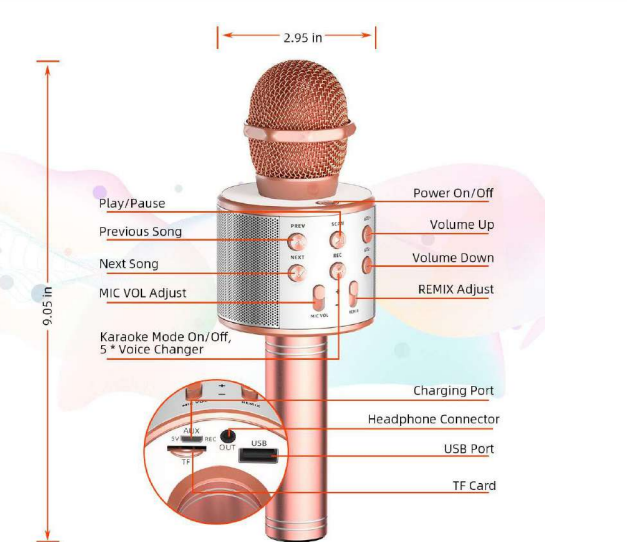 WS-858 Wireless Karaoke Microphone User Manual-1