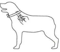 doBe Dog Training Anti-Bark (12)