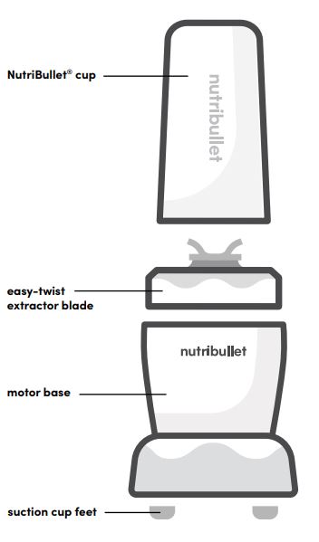 Nutribullet Pro 1000-watts Blender FIG-2