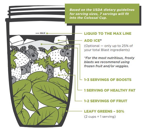 Nutribullet Pro+ 1200-watt Blender FIG-3