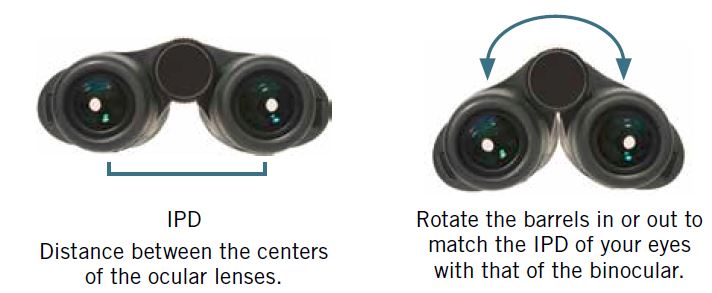 Vortex Optics Crossfire HD Binoculars fig-3