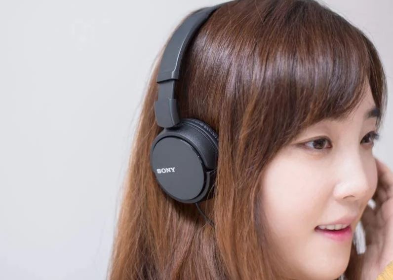 Sony MDR-ZX110 Wired On-Ear Headphones FEATURE