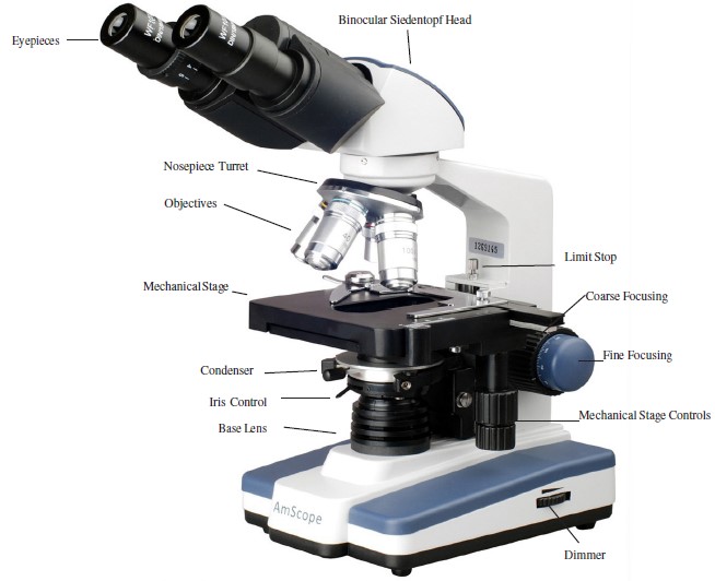 AmScope-120 Series-40X-2500X-Binocular-Compound-Microscope-User-Manual-1