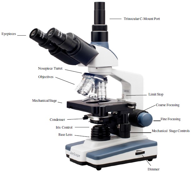 AmScope-120 Series-40X-2500X-Binocular-Compound-Microscope-User-Manual-2
