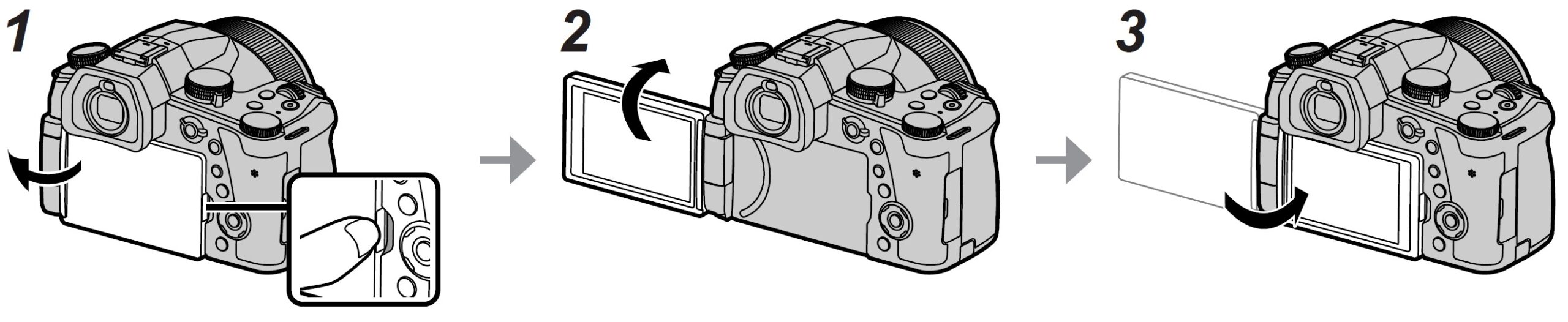 Panasonic-LUMIX-FZ1000-II-Digital-Camera-Owner-Manual-31