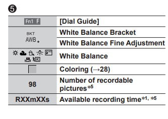 Panasonic LUMIX FZ300 Digital Camera-fig 33