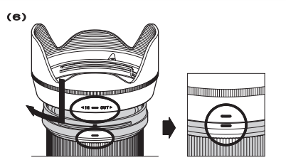 Sigma 24-70mm Art Lens-fig 6