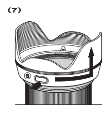 Sigma 24-70mm Art Lens-fig 7