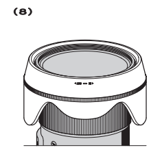 Sigma 24-70mm Art Lens-fig 8