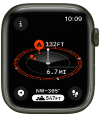 Apple Watch User Guide for watchOS 10 30