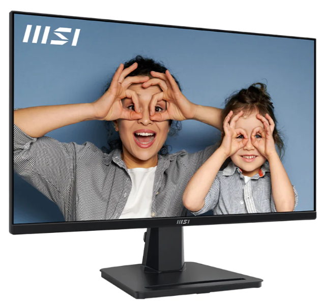 MSI PRO MP251 25-inch IPS FHD Computer Monitor