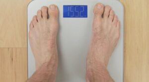 Starfrit Balance Body Fat Scale Instruction Manual