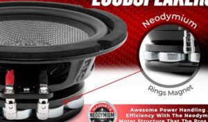 DS18 PRO-CF6.2NR 6.5″ Water Resistant Loud Speaker Owner Manual