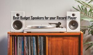 10 Best Budget Speakers for your Record Player in 2024