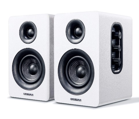 Best Speakers for Vinyl under 100-Sanyun SW208